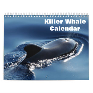 Killer Whale Orcas 2025 Calendar
