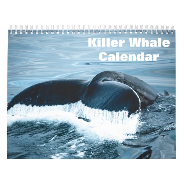 Killer Whale Orcas 2026 Calendar (Cover)