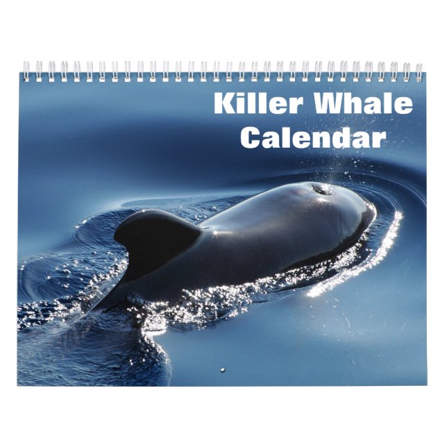 Killer Whale Orcas 2026 Calendar (Cover)