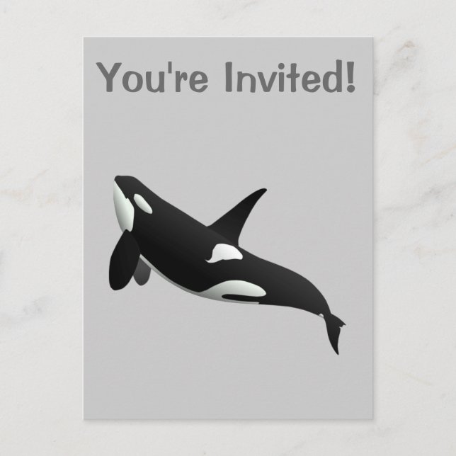 Killer Whale, Orcinus Orca Invitation Postcard (Front)