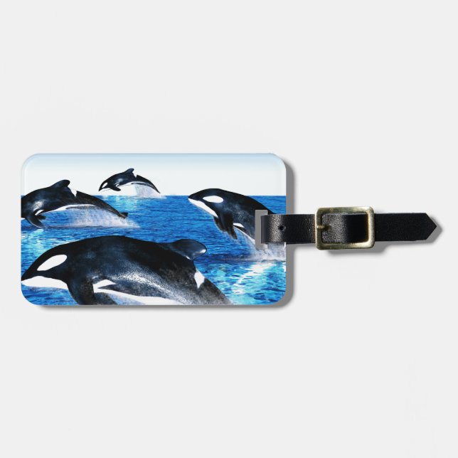 Killer Whale Pod Luggage Tag (Front Horizontal)