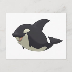 Killer Whale Postcard