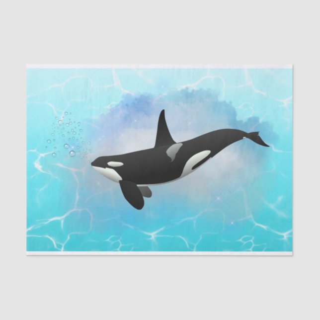 Killer Whale Tissue Paper (Front)