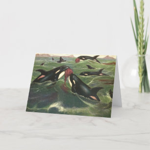 Killer Whales and Orcas, Vintage Marine Mammals Card