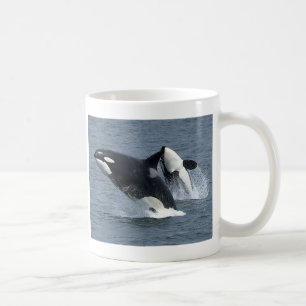 killer whales coffee mug