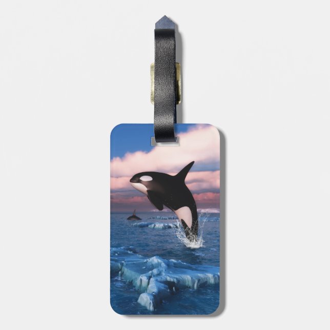 Killer Whales In The Arctic Ocean Luggage Tag (Back Vertical)