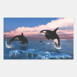 Killer Whales In The Arctic Ocean Rectangular Sticker