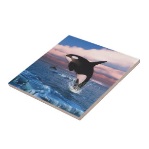 Killer whales in the Arctic Ocean Tile