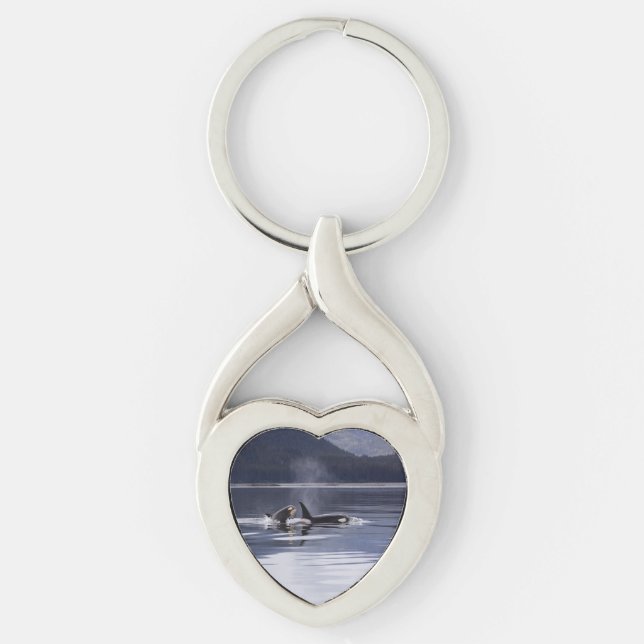 Killer Whales Key Ring (Front)