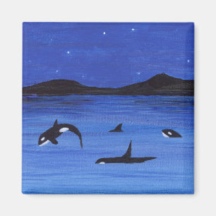 Killer Whales Magnet