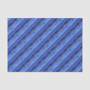 Killer Whales Tissue Paper