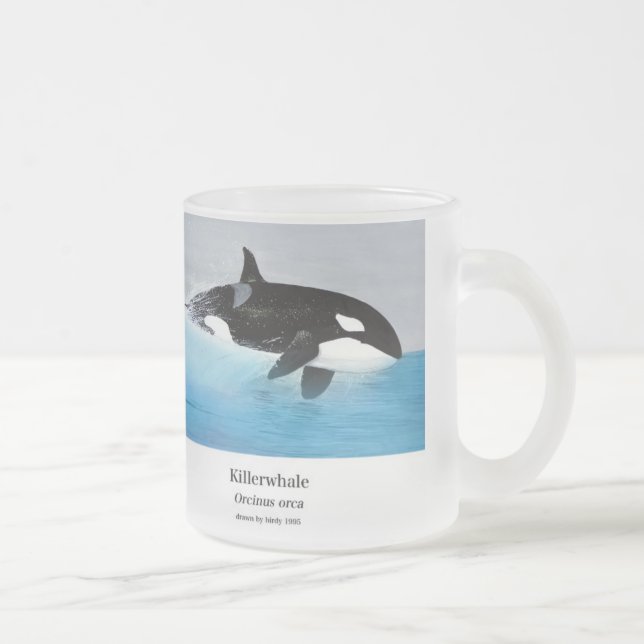 Killerwhale , Orcinus orca Frosted Glass Coffee Mug (Right)