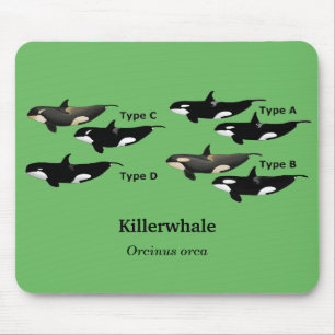 Killerwhale , Orcinus orca Mouse Mat