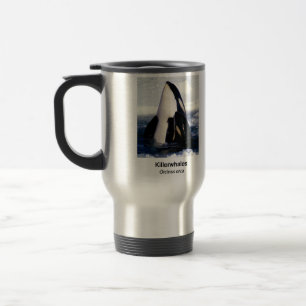 Killerwhale , Orcinus orca Travel Mug