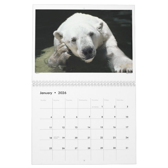 Killian's Kalendar Calendar (Jan 2026)