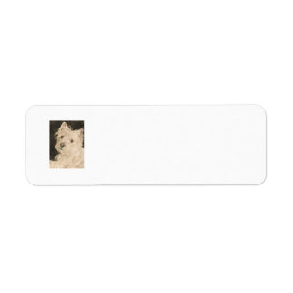 Kiltie the West Highland White Terrier