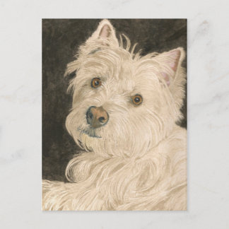 Kiltie the West Highland White Terrier Postcard