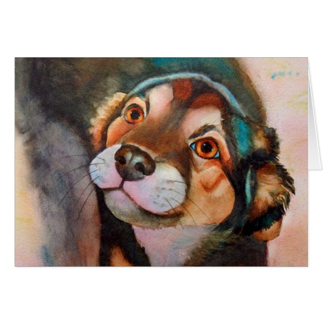 Kimba Shepherd Terrier Dog Mix (Front Horizontal)