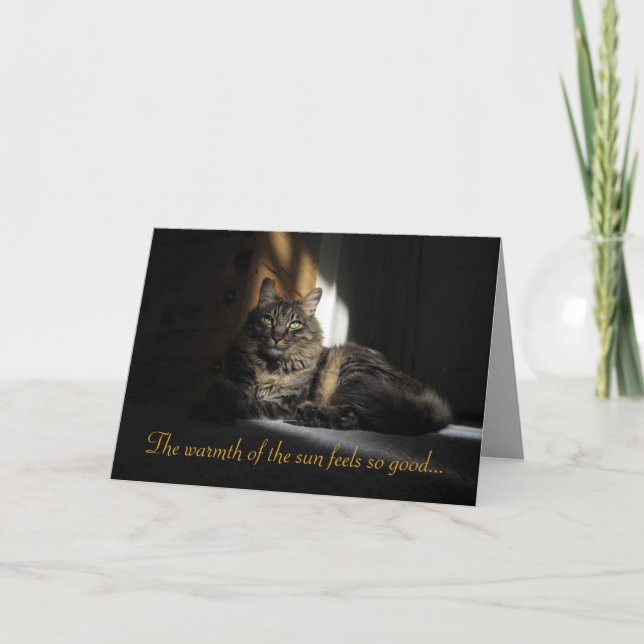 Kimber Cat Slivers of Sunlight I Love You Card (Front)