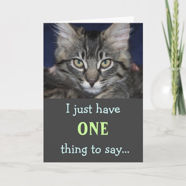 Kimber Cat Thank You Card (Front)