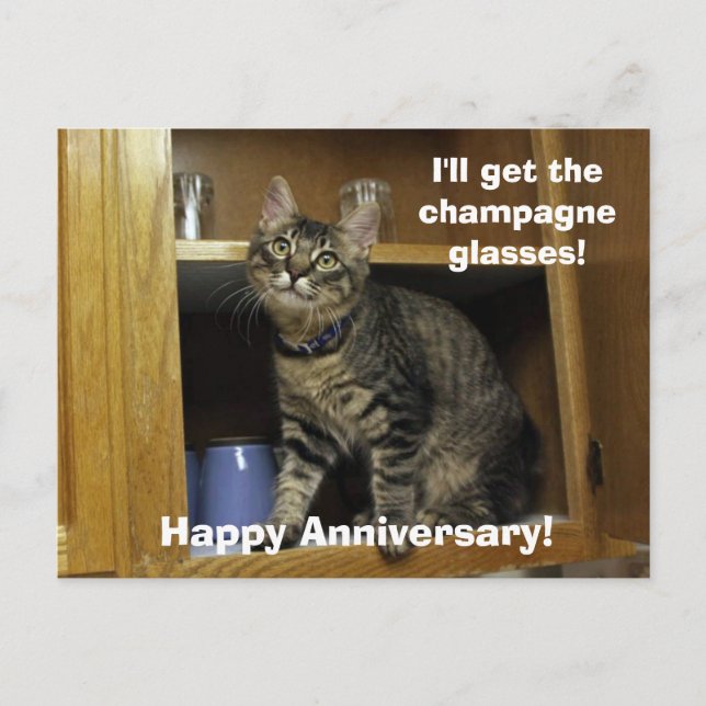 Kimber in the Cupboard Anniversary Postcard (Front)