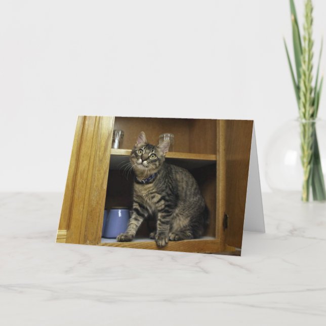 Kimber in the Cupboard Blank Greeting Card (Front)