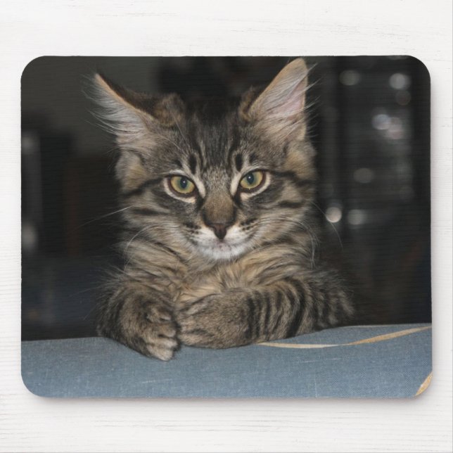 Kimber Kitty's "Oh Really?" Mouspad Mouse Mat (Front)