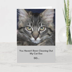 Kimber "Surprise For You" Birthday Card