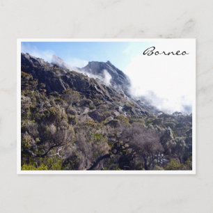 kinabalu borneo nature postcard