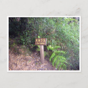 kinabalu km 3.5 postcard
