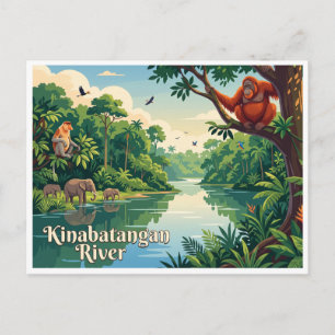 Kinabatangan River Sandakan Malaysia Postcard