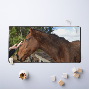 "Kind Touch: Bonding with a Gentle Brown Horse" Desk Mat