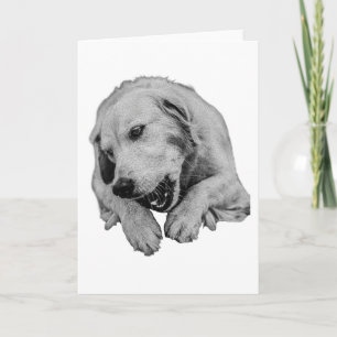 Kind Wishes From A Busy Friend Card