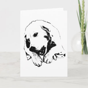 Kind Words Carried By Cheer Card