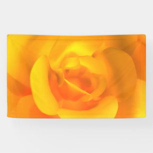 Kindled Rose Banner