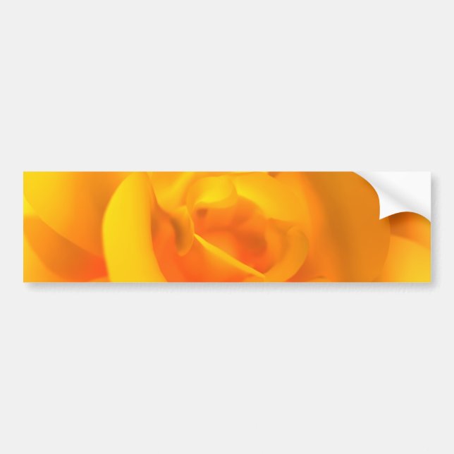 Kindled Rose Bumper Sticker (Front)