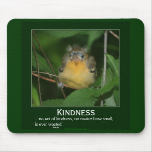Kindness Baby Oriole Motivational Mousepad