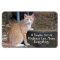 Kindness Orange Tabby Cat Magnet
