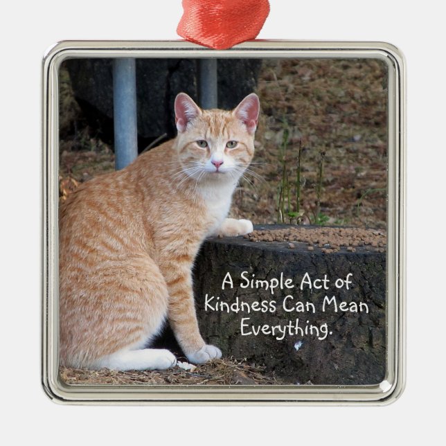 Kindness Orange Tabby Cat Ornament (Front)