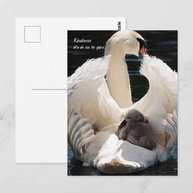 Kindness Postcard (Front/Back)