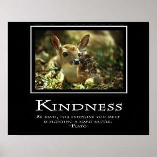 Kindness Poster