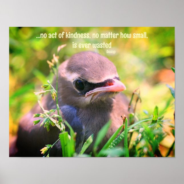 Kindness Quote Baby Bird Inspirational  Poster (Front)
