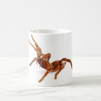 King Baboon Tarantula. Coffee Mug