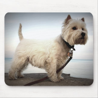 King Barko Mouse Mat