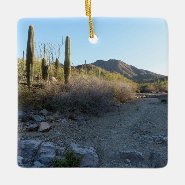 King Canyon Trail I Ceramic Ornament (Front)