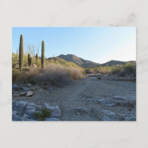 King Canyon Trail I Postcard