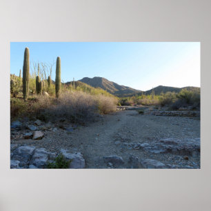 King Canyon Trail I Poster