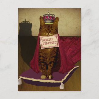 King Cat Special Delivery Postcard