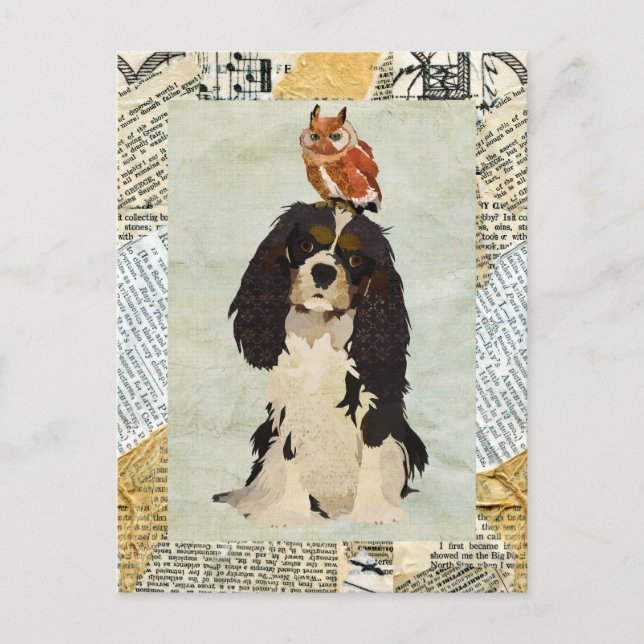 King Cavalier & Owl Postcard (Front)