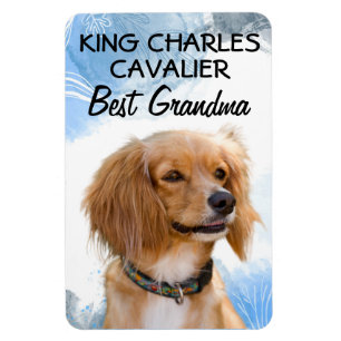 King Charles Cavalier Best Grandma Magnet